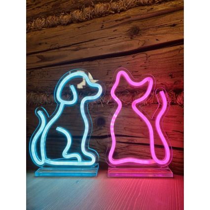 2Kids Toys - LED Neon bord dekoration LED/5W/USB katt