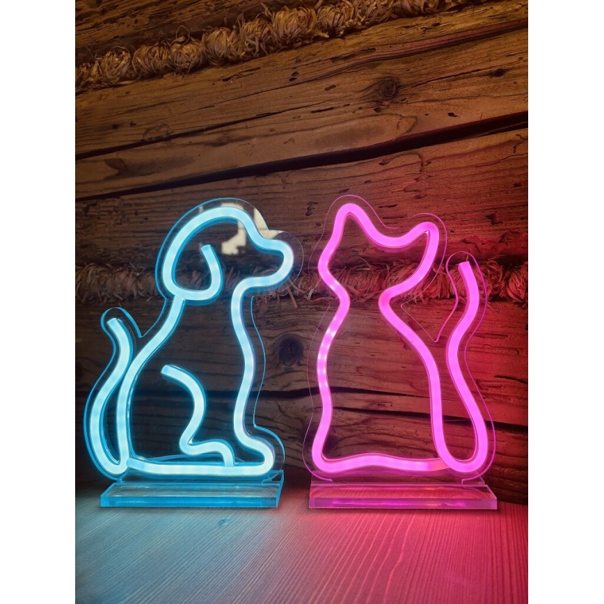 2Kids Toys - LED Neon bord dekoration LED/5W/USB katt