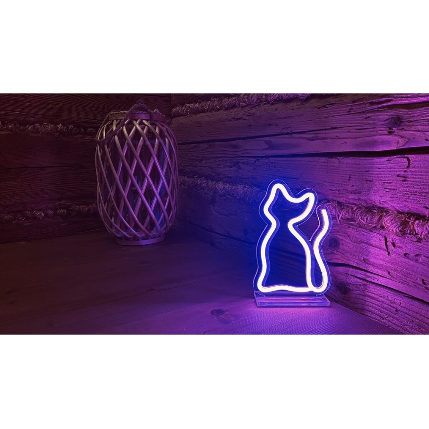2Kids Toys - LED Neon bord dekoration LED/5W/USB katt