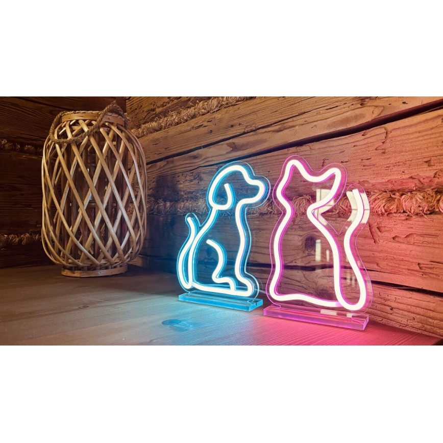 2Kids Toys - LED Neon bord dekoration LED/5W/USB katt