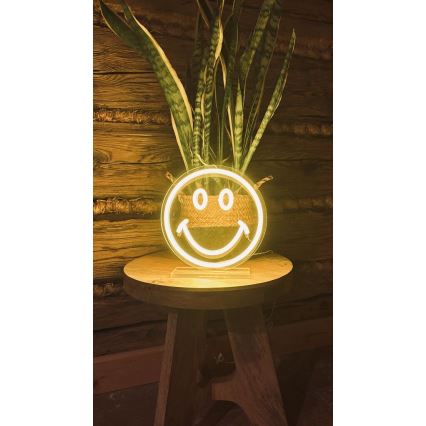 2Kids Toys - LED Neon bord dekoration LED/5W/USB smiley