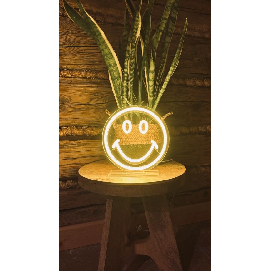 2Kids Toys - LED Neon bord dekoration LED/5W/USB smiley