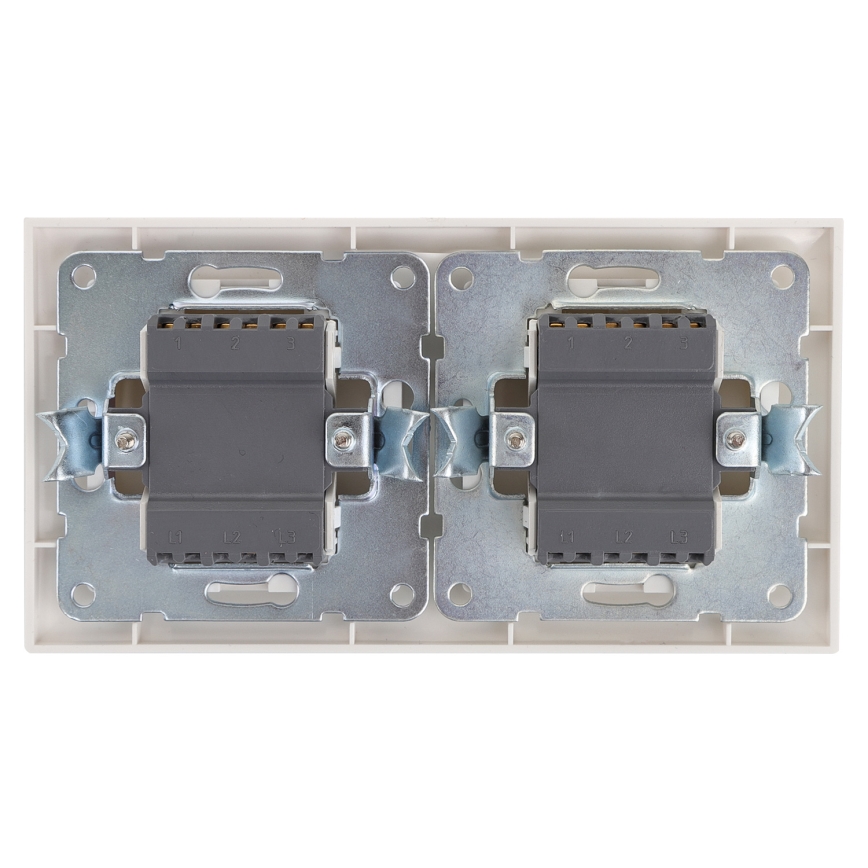 Aigostar - KIT 2x Väggbrytare för kontakt 2-knapp 250V/10A