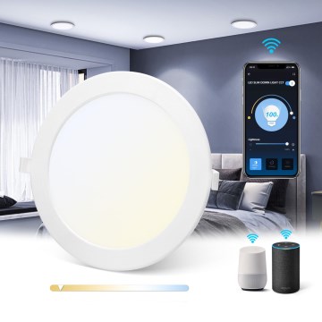 Aigostar - LED Dimbar infälld belysning LED/18W/230V d.22 cm Wi-Fi