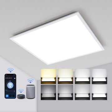 Aigostar - LED dimbar infälld panel MESH LED/36W/230V 2700-6500K 60x60 cm