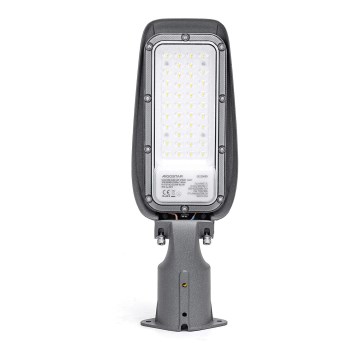 Aigostar - LED gatulampa LED/30W/230V 6500K IP65