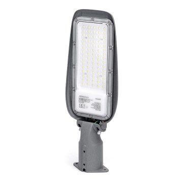 Aigostar - LED gatulampa LED/50W/230V 6500K IP65