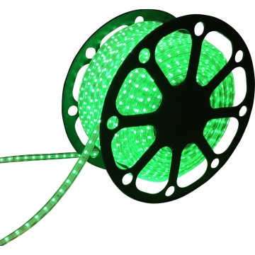 Aigostar - LED list 50m LED/300W/230V IP65 grön