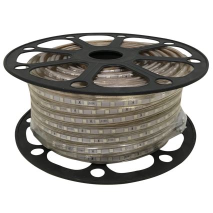 Aigostar - LED list 50m LED/300W/230V IP65 grön