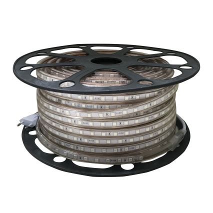 Aigostar - LED list för utomhusbruk 50m LED/300W/230V blå IP65