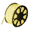 Aigostar - LED list för utomhusbruk 50m LED/350W/230V 3000K IP65
