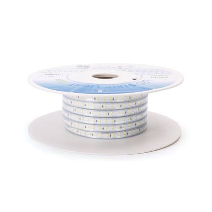 Aigostar - LED list LED/400W/230V 50m 6500K IP65