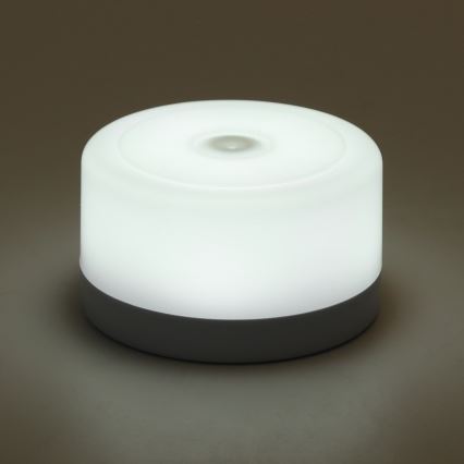 Aigostar - LED Ljusreglerad portable nattlampa LED/1W/5V 6500K + USB