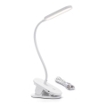 Aigostar - LED Ljusreglerad uppladdningsbar bordslampa med klämma LED/2,5W/5V 1200mAh vit