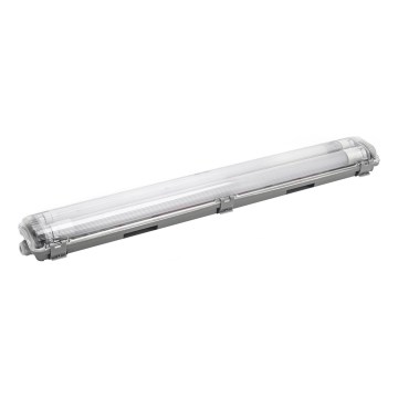 Aigostar - LED lysrör arbetsbelysning 2xG13/9W/230V 4000K 66,6 cm IP65