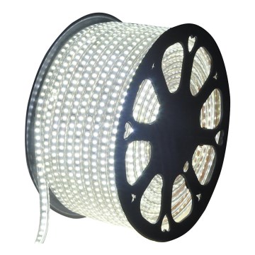 Aigostar - LED-remsa för utomhusbruk 50m LED/350W/230V 6500K IP65