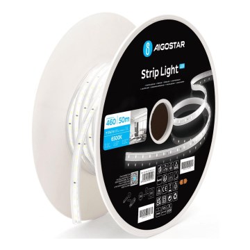 Aigostar - LED-remsa LED/250W/230V 50m 6500K IP65