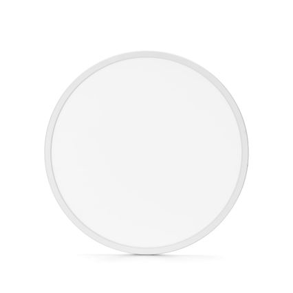 Aigostar - LED RGBW Ljusreglerad vägglampa för badrum LED/24W/230V 3000-6500K diameter 42 cm IP44 + fjärrkontroll