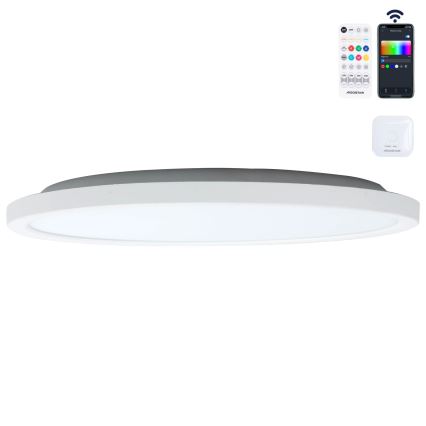 Aigostar - LED RGBW Dimbar taklampa MESH LED/24W/230V 3000-6500K vit + fjärrkontroll