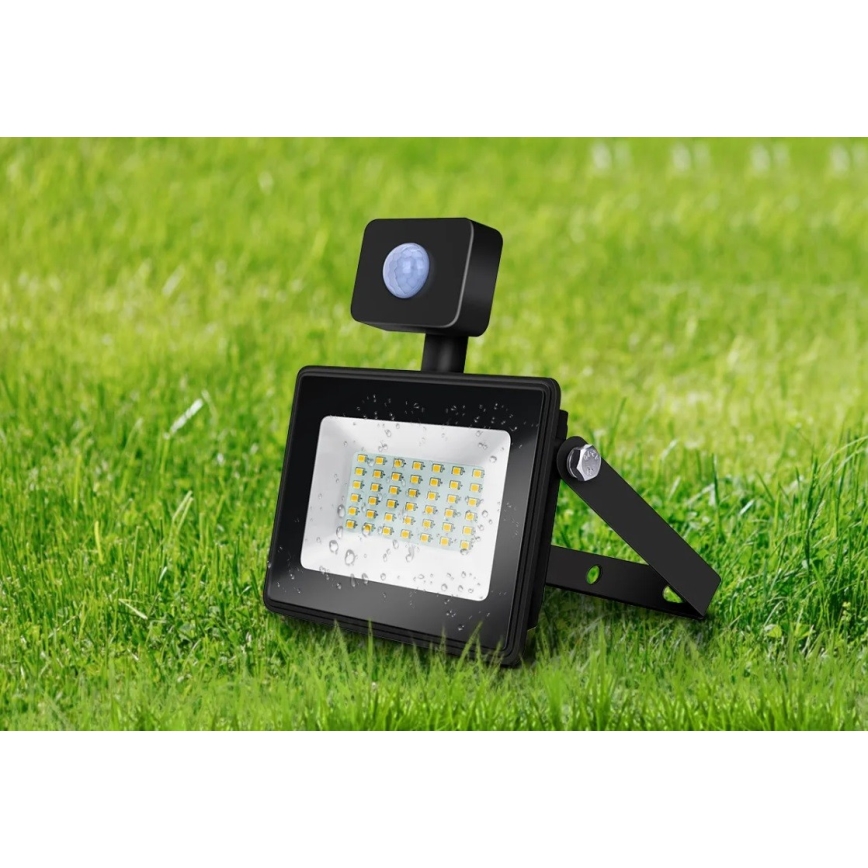 Aigostar - LED strålkastare med sensor LED/50W/230V 4000K IP65 svart