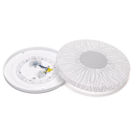 Aigostar - LED taklampa LED/12W/230V 6500K diameter 26cm