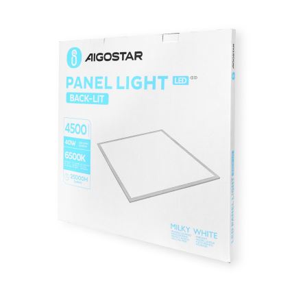 Aigostar - LED upphängd takpanel LED/40W/230V 6500K 60x60cm vit