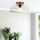 Alora Mood ALM-SYLVIA-SF-BG-CL - Taklampa SYLVIA 1xE27/60W/230V i guld