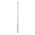 Amplex - LED vägglampa  LED/3,8W/230V gyllene /vit 