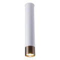 Amplex - Spotlampa 1xGU10/10W/230V vit/guld