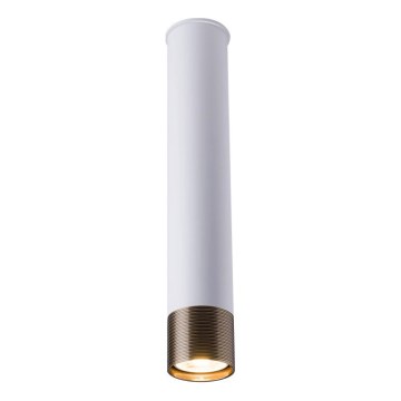Amplex - Spotlampa 1xGU10/10W/230V vit/guld