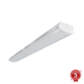 APLED - LED Fäst lampa TROUT LED/72W/230V 4000K