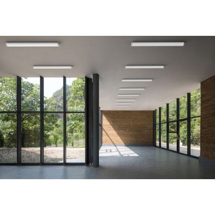 APLED - LED Fäst lampa TROUT LED/72W/230V 4000K
