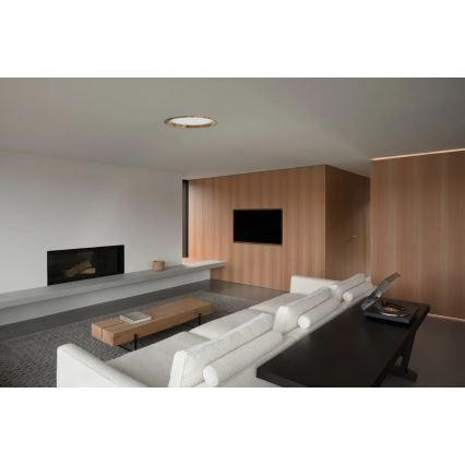 APLED - LED infälld belysning RONDO WOODLINE LED/18W/230V 3000K diameter 26 cm ask massivt trä