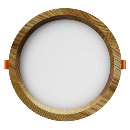 APLED - LED infälld belysning RONDO WOODLINE LED/6W/230V 3000K diameter 15 cm ask massivt trä