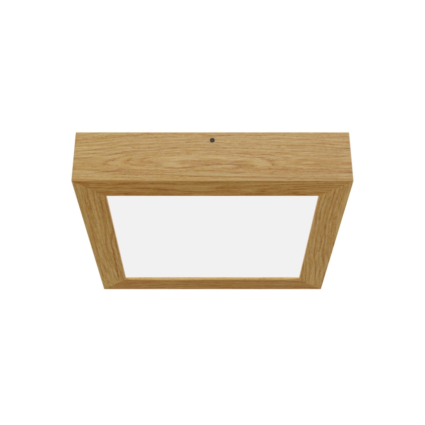 APLED - LED taklampa QUADRA LED/24W/230V ek
