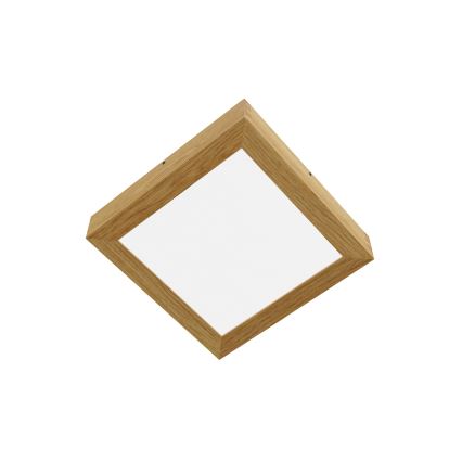 APLED - LED taklampa QUADRA LED/24W/230V ek