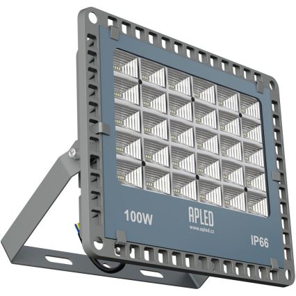 APLED - LED Utomhus Strålkastare PRO LED/100W/230V IP66 10000lm 6000K