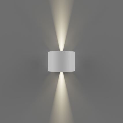 APLED - LED Utomhus Väggbelysning OVAL 2xLED/3W/230V IP65