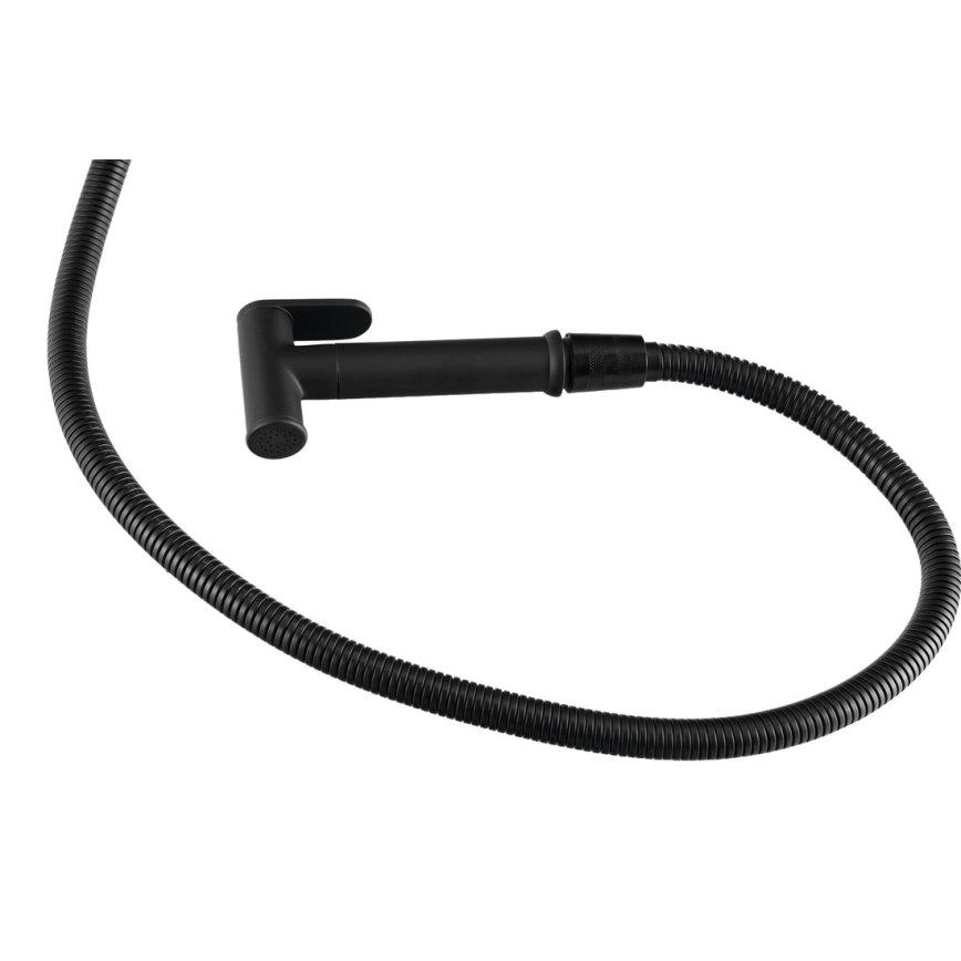 Aqualine - Bidéblandare med dusch för dold installation matt svart