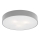 Argon 1187 - Takbelysning DARLING 3xE27/15W/230V
