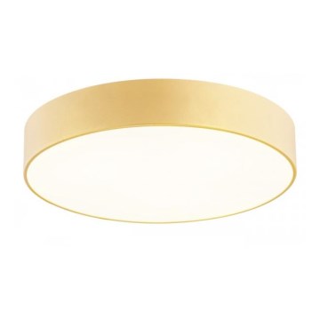 Argon 1458 - Takbelysning DARLING 3xE27/15W/230V guld