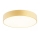 Argon 1458 - Takbelysning DARLING 3xE27/15W/230V guld