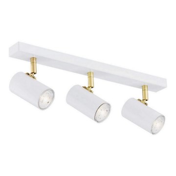 Argon 1475 - Spotlight LAGOS 3xGU10/5W/230V vit/guld
