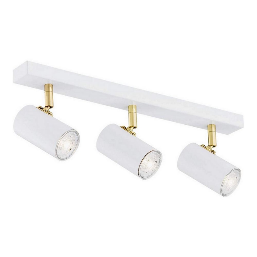 Argon 1475 - Spotlight LAGOS 3xGU10/5W/230V vit/guld