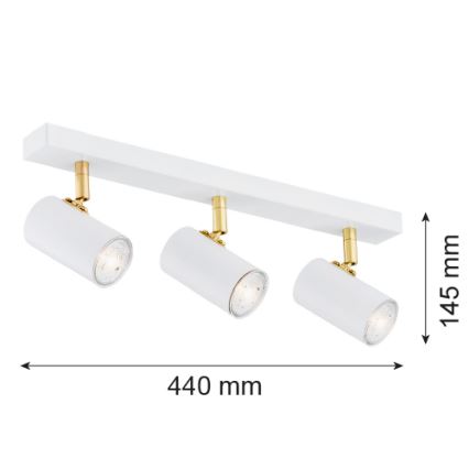 Argon 1475 - Spotlight LAGOS 3xGU10/5W/230V vit/guld