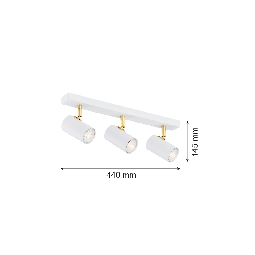 Argon 1475 - Spotlight LAGOS 3xGU10/5W/230V vit/guld