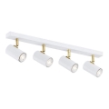 Argon 1689 - Spotlight LAGOS 4xGU10/5W/230V vit/guld