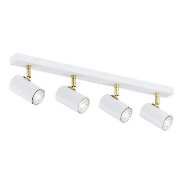Argon 1689 - Spotlight LAGOS 4xGU10/5W/230V vit/guld