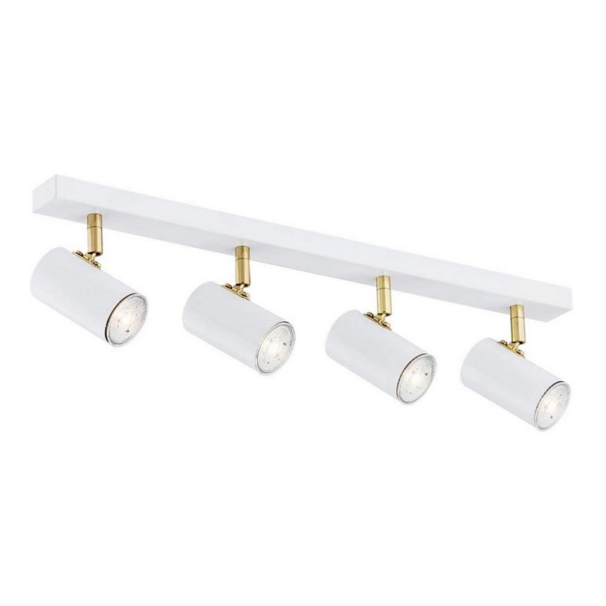 Argon 1689 - Spotlight LAGOS 4xGU10/5W/230V vit/guld