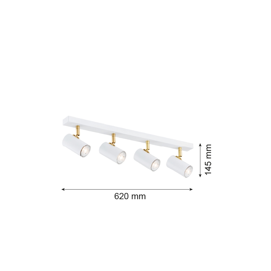 Argon 1689 - Spotlight LAGOS 4xGU10/5W/230V vit/guld
